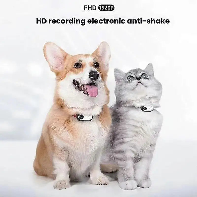 Collar Cat Dog View Camera Pet Recorder for Baby and Pet Monitors Black/White
